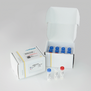 FlexStar® UP & MH PCR Detection Mix 1.5 RUO
